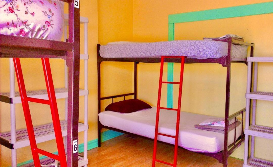 The Only Backpacker'S Inn (Adults Only) Τορόντο Εξωτερικό φωτογραφία